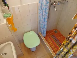 část č. 2 - koupelna se sprchovým koutem, WC a umyvadlem