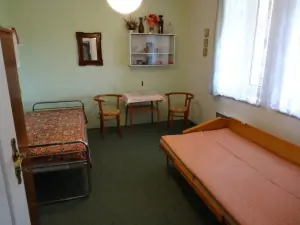 ložnice s lůžkem a rozkládacím gaučem pro 1 osobu