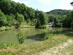 cca. 200 m od chaty se nachází rybník, kde je možno rybařit