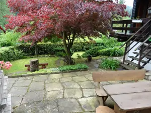 zahrada chaty je od okolí částečně chráněna živým plotem (jaro)
