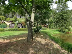 chata Trutnov - Dolce (léto) - pohled od rybníka