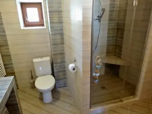 koupelna v přízemí se sprchovým koutem, WC a umyvadlem