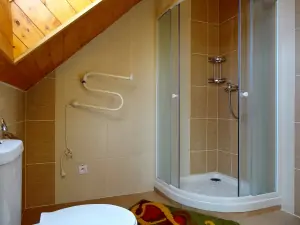 koupelna v podkroví se sprchovým koutem, WC a umyvadlem
