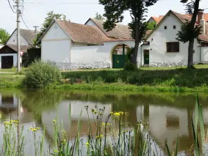 chalupa Dražičky - před chalupou se nachází rybník