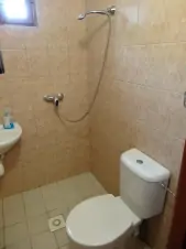 koupelna s ruční sprchou, umvyvadlem a WC