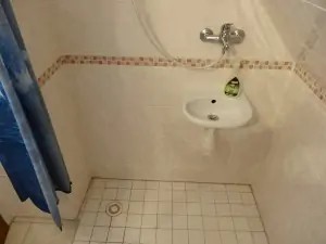 ruční sprcha a umyvadlo v koupelně v podkroví