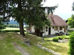pozemek chaty Hrdoňov je částečně ohraničen živým plotem