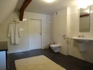 prostorná koupelna se sprchovým koutem, WC a umyvadlem