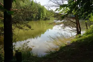 rybník pod chatou (možnost rybaření)