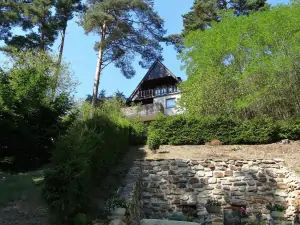 chata Hněvkovice na levém břehu Vltavy - spodní pohled (léto)