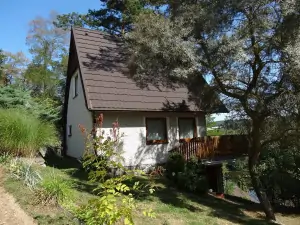 chata Hněvkovice na levém břehu Vltavy (léto)