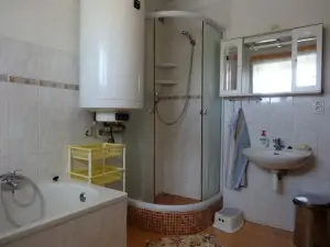 koupelna v přízemí je vybavena sprchovým koutem, vanou, WC a umyvadlem