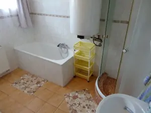 koupelna v přízemí je vybavena sprchovým koutem, vanou, WC a umyvadlem