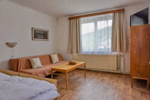 ložnice s dvojlůžkem, gaučem a TV