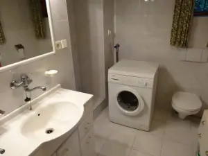 koupelna se sprchovým koutem, WC a umyvadlem v suterénu chaty (pračka na fotografii není k dispozici)
