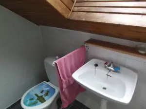 koupelna se sprchou, WC a umyvadlem v podkroví