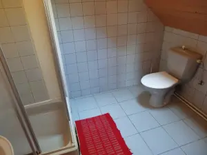 koupelna se sprchovým koutem, umyvadlem a WC v podkroví