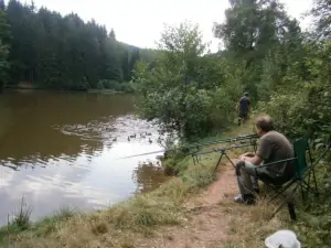 na nedalekém rybníku (cca. 2,5 km) je možno rybařit