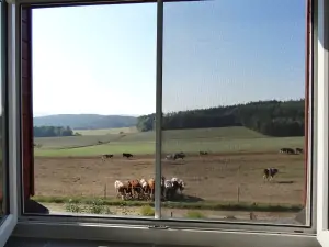 výhled z okna ložnice do okolní krajiny