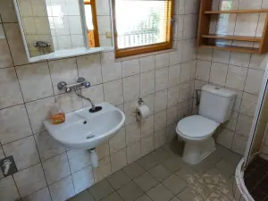 koupelna se sprchovým koutem, WC a umyvadlem