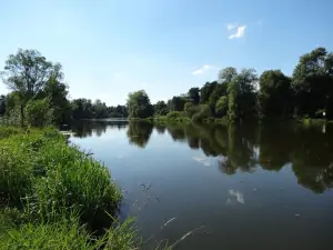řeka Lužnice je oblíbená u rybářů