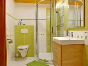 koupelna v přízemí se sprchovým koutem, WC, umyvadlem a infrasaunou pro 2 osoby