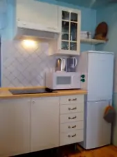 v kuchyni je nově k dispozici sklokeramická varná deska a lednička s mrazícím boxem