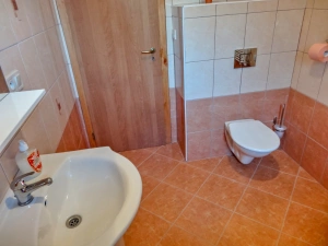 1. část chalupy - koupelna se sprchovým koutem, WC, umyvadlem a pračkou v přízemí