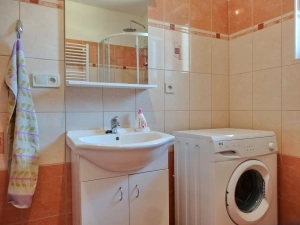 2. část chalupy - koupelna se sprchovým koutem, WC, umyvadlem a pračkou v přízemí