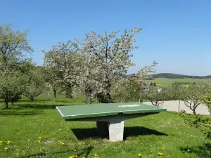 stolní tenis na zahradě