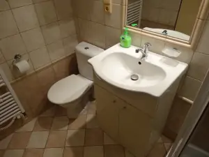 2. část chalupy - koupelna se sprchovým koutem, WC a umyvadlem