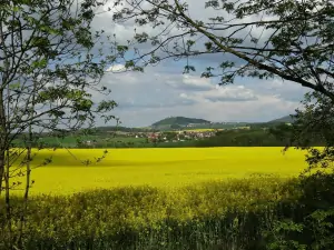1 km nad obcí Vysoká se lze kochat výhledem ke zřícenině hradu Starý Jičín, který je možné navštívit