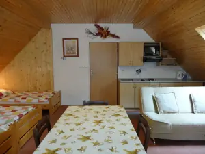 pokoj ze 4 lůžky, kuchyňským a jídelním koutem, gaučem a TV
