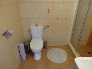 WC v koupelně