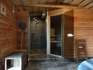 wellness místnost s vířivkou, saunou a sprchovým koutem
