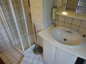 koupelna v přízemí (neaktuální fotografie!!!) - koupelna je vybavena sprchovým koutem, dvojumyvadlem a pračkou