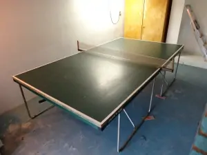 hosté si mohou zahrát stolní tenis