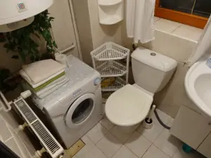 koupelna se sprchovým koutem, WC, umyvadlem a pračkou