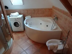 koupelna s rohovou vanou, sprchovým koutem, WC, bidetem, 2 umyvadly a pračkou