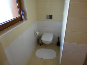 koupelna se sprchovým koutem, 2 umyvadly a WC v přízemí