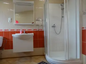 koupelna se sprchovým koutem, WC a umyvadlem v podkroví