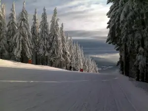 ski areál Černá hora je od chalupy vzdálen 1,5 km