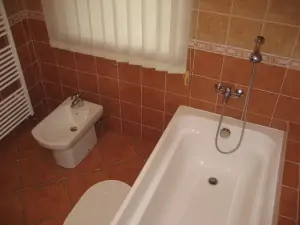 koupelna v přízemí s vanou, bidetem a umyvadlem