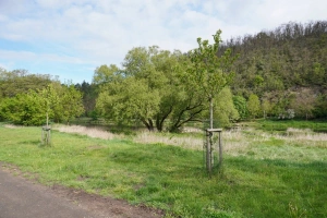 řeka Berounka naproti chalupě