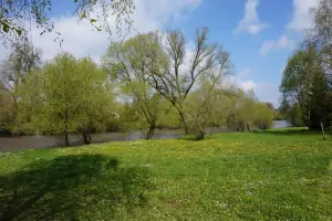 řeka Lužnice - jaro (v létě za nižšího stavu vody je řeka Lužnice ideální pro vodáky a rybáře)