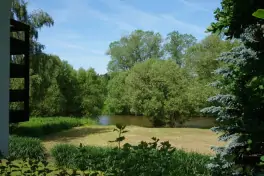 pohled na řeku Lužnici od chaty nebo z terasy je nádherný