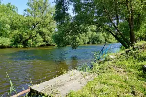 na řece Lužnici je možnost rybaření - vstup do vody