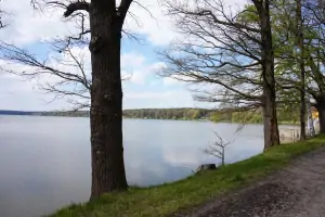rybník Dvořiště se od chaty nachází cca. 200 m