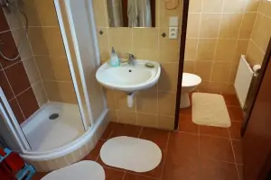 koupelna se sprchovým koutem a umyvadlem v přízemí - z koupelny je přístupno samostatné WC