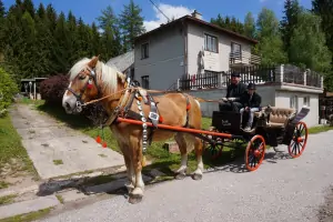 majitel chalupy nabízí hostům bezplatný bonus 1 hodiny jízdy v kočáře taženým koněm